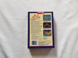 Snow Brothers NES Entertainment System Reproduction Box And Manual